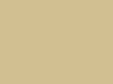 Taupe Color Chip